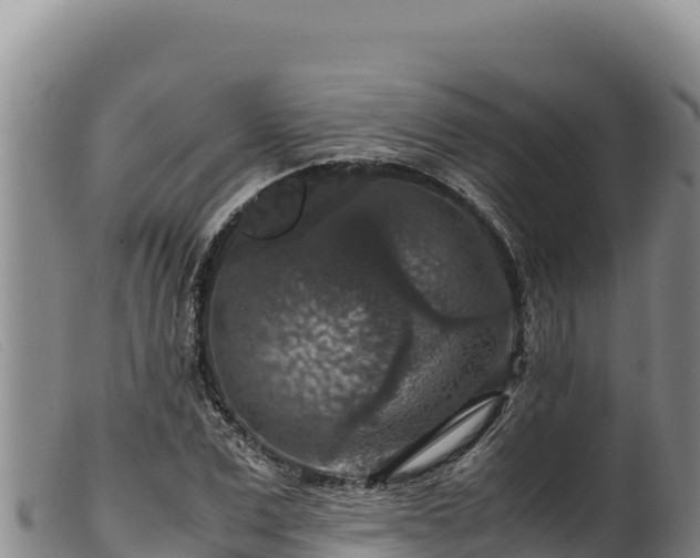 X0000099550975200805231147