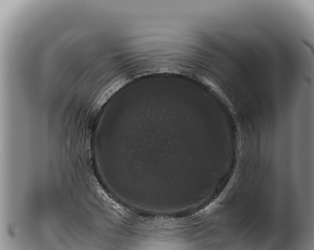 X0000099550977200805231147