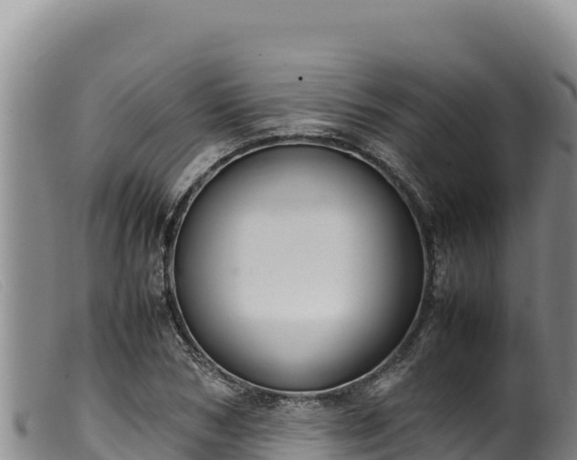 X0000099550978200805231147