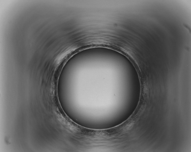 X0000099550979200805231147