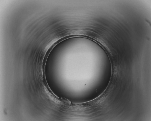 X0000099550980200805231147