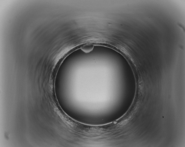 X0000099550981200805231147