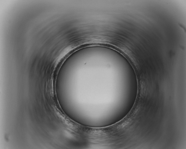 X0000099550982200805231147