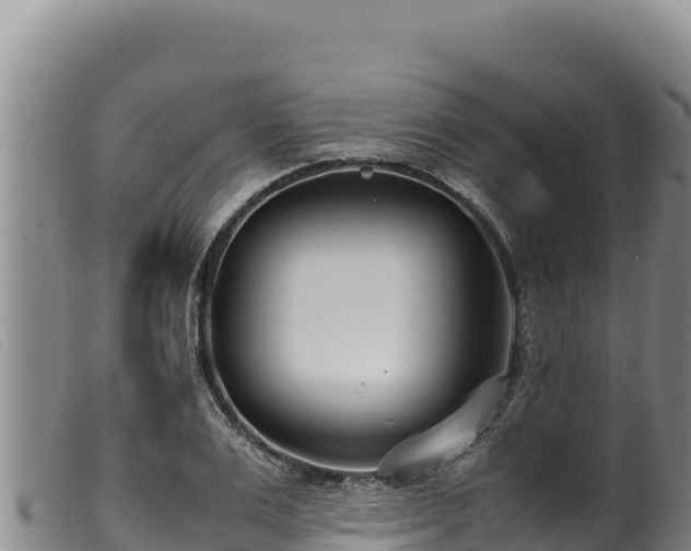 X0000099550983200805231147