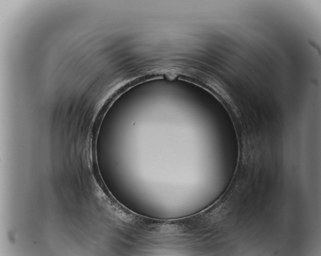 X0000099550984200805231147