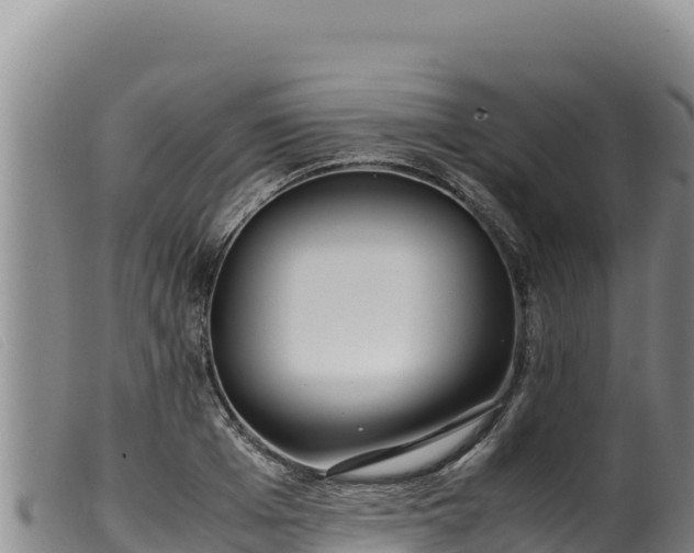 X0000099550985200805231147