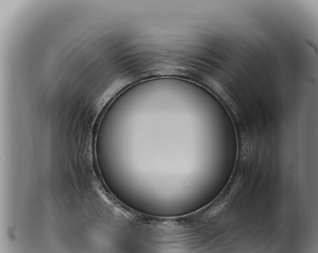 X0000099550986200805231147