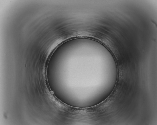 X0000099550990200805231146