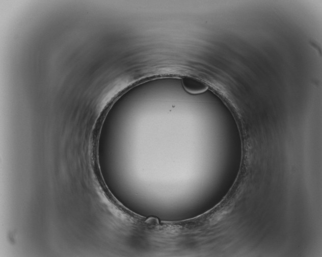 X0000099550991200805231146