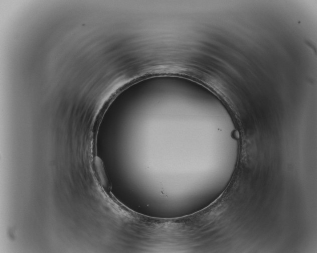 X0000099550992200805231146