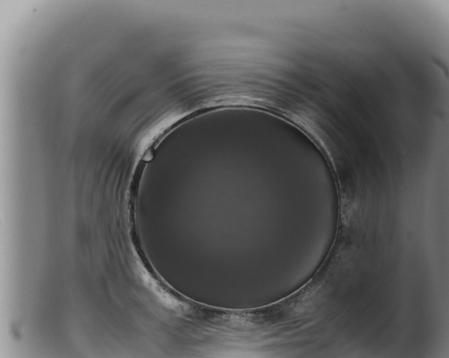 X0000099550995200805231146