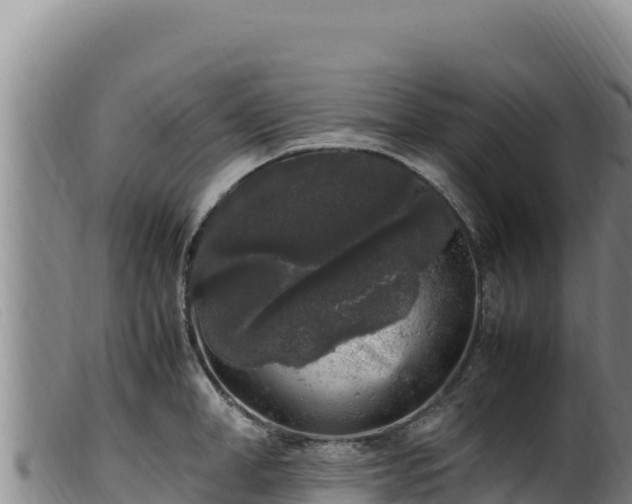 X0000099550998200805231146