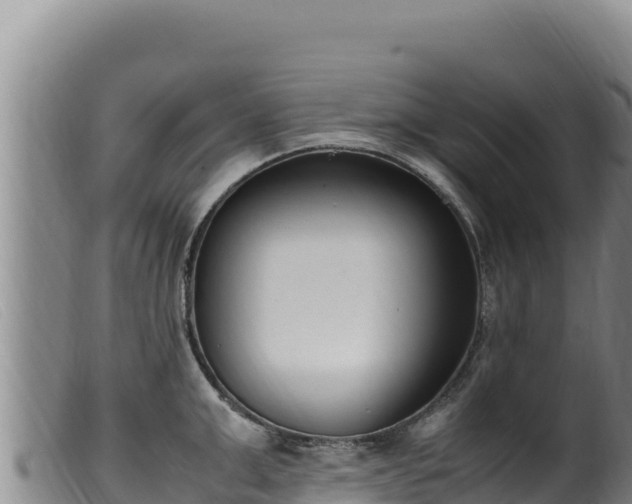 X0000099550999200805231146