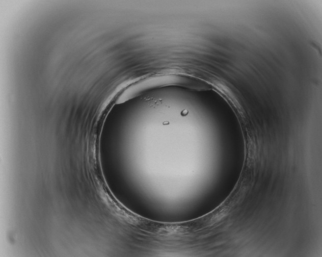 X0000099551000200805231146