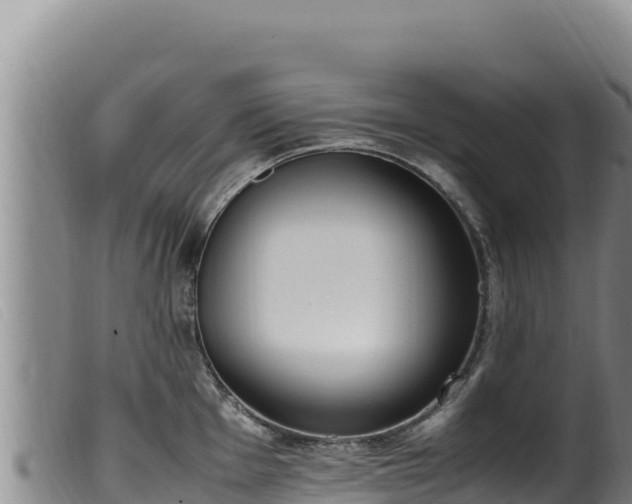 X0000099551001200805231146