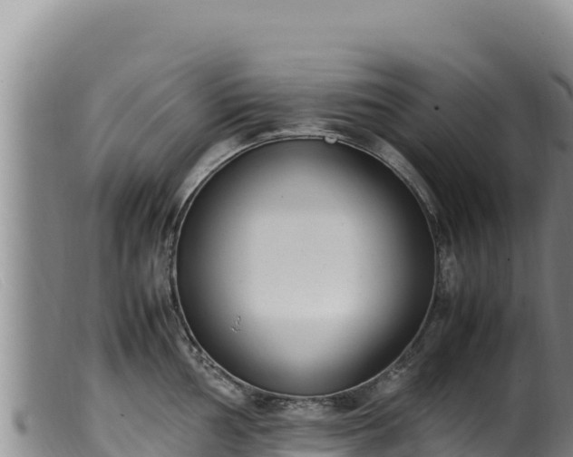 X0000099551002200805231146