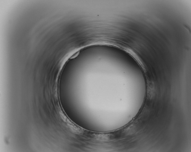 X0000099551004200805231146