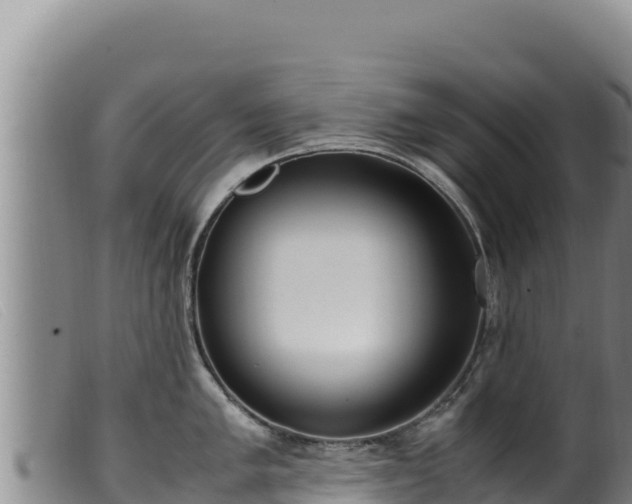 X0000099551005200805231146