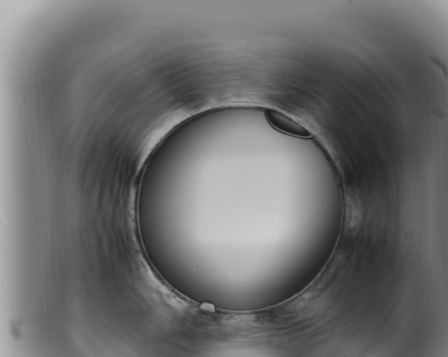 X0000099551006200805231146