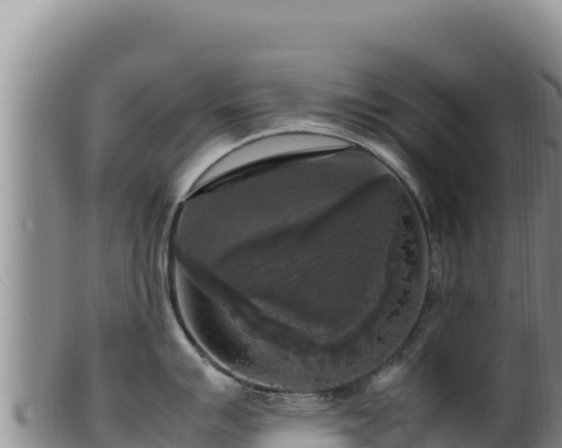 X0000099551007200805231146