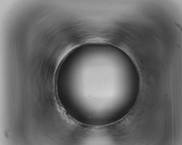 X0000099551008200805231146