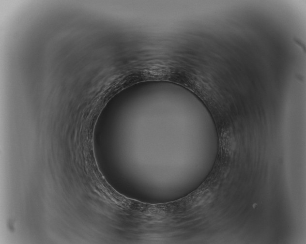 X0000099551009200805231145