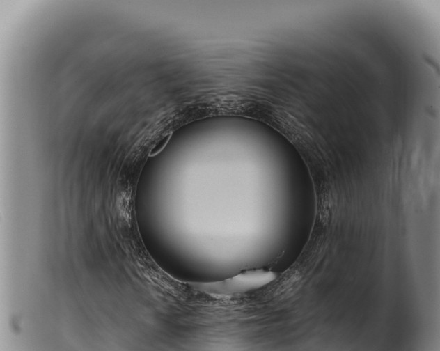 X0000099551010200805231145