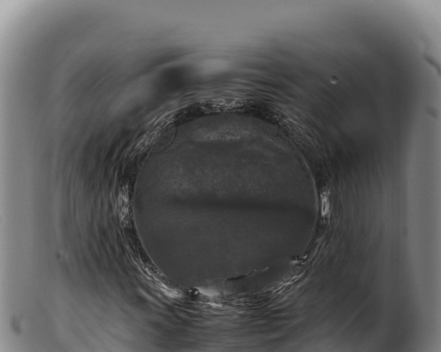 X0000099551011200805231145