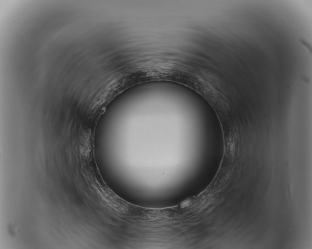 X0000099551012200805231146