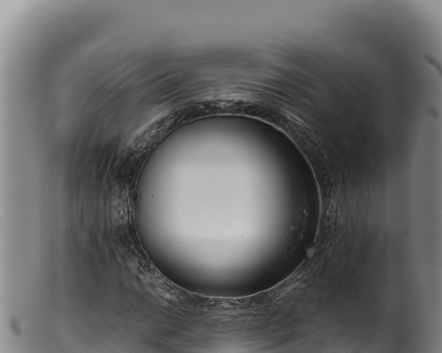 X0000099551014200805231146