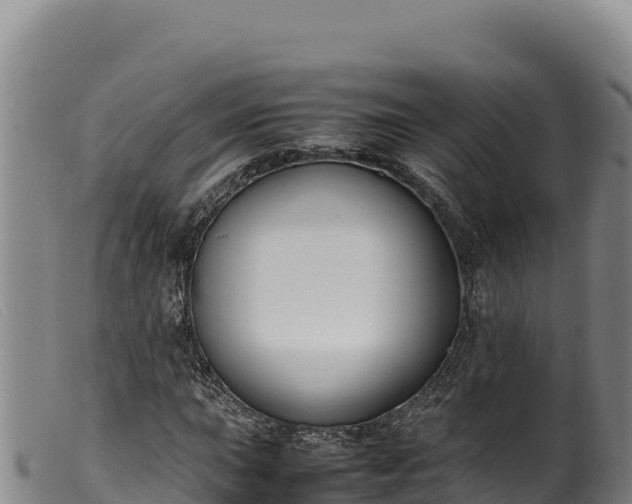 X0000099551015200805231146