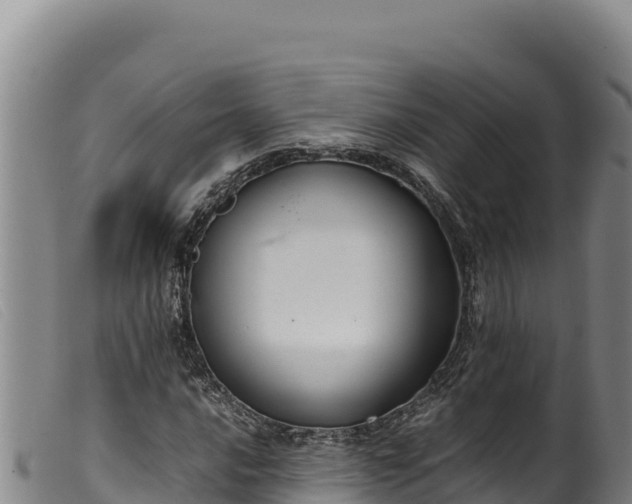 X0000099551016200805231146