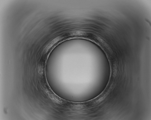 X0000099551017200805231146