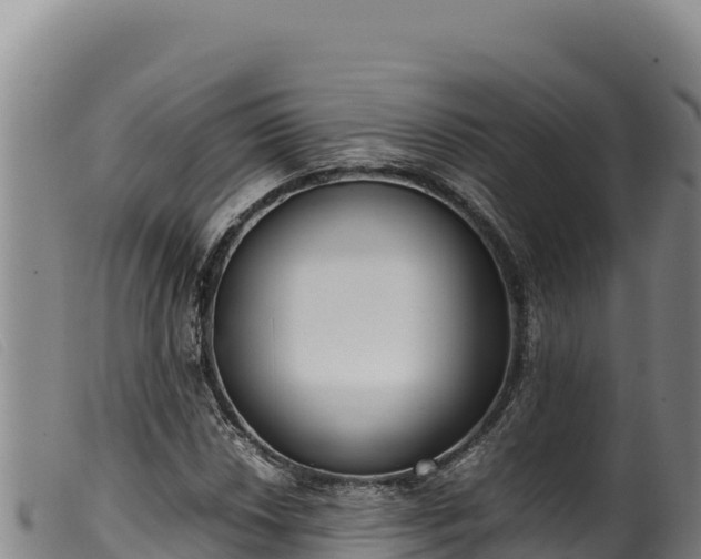 X0000099551018200805231146