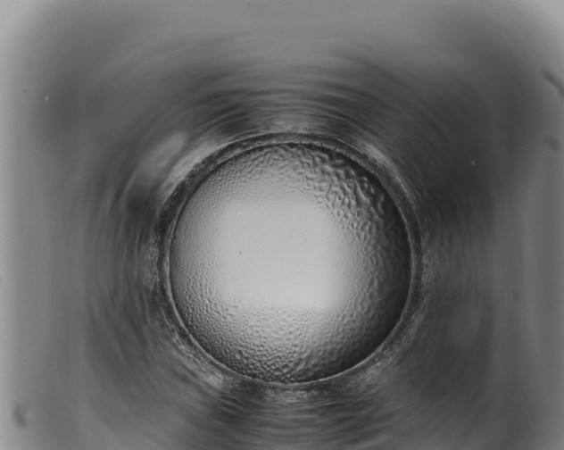 X0000099551019200805231146