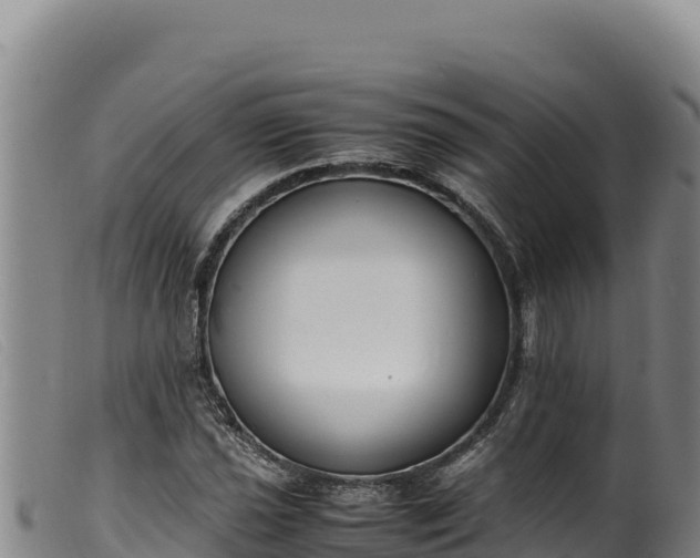 X0000099551021200805231146