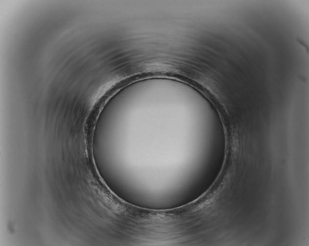 X0000099551022200805231146