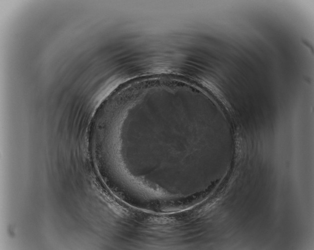 X0000099551023200805231146