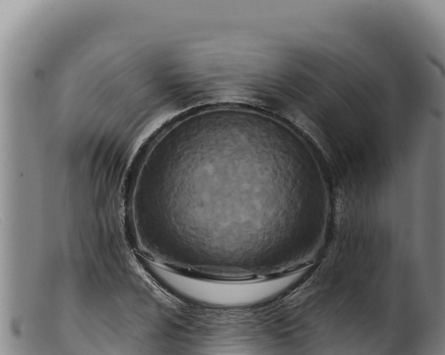 X0000099551024200805231146