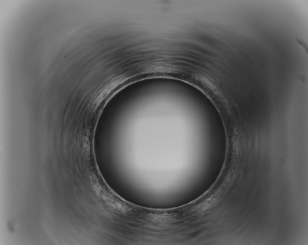 X0000099551025200805231146