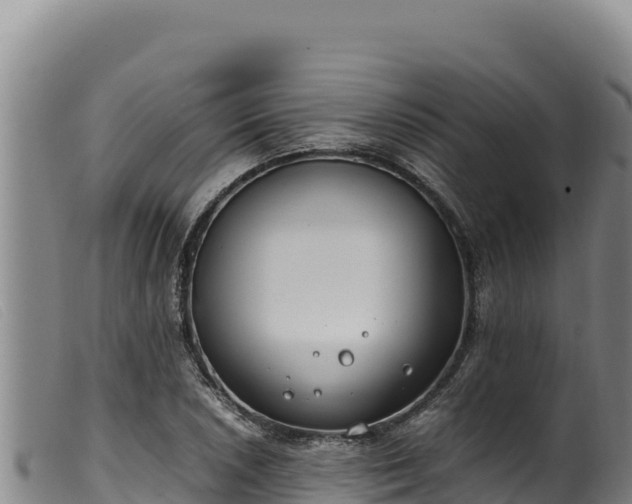 X0000099551026200805231146