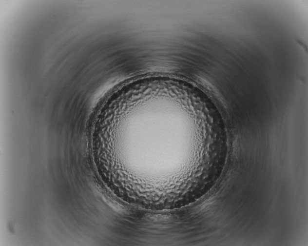 X0000099551027200805231146