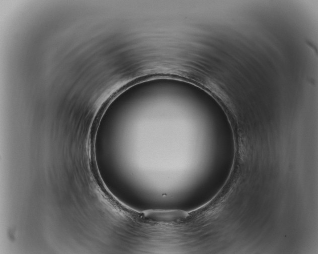 X0000099551028200805231146