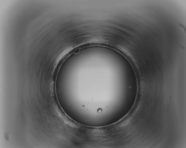 X0000099551029200805231146