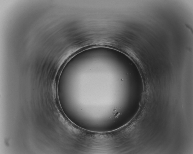 X0000099551032200805231146