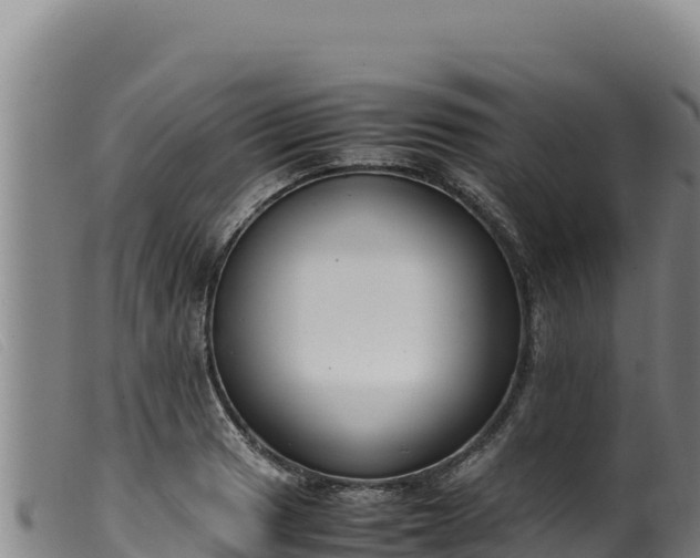 X0000099551033200805231146