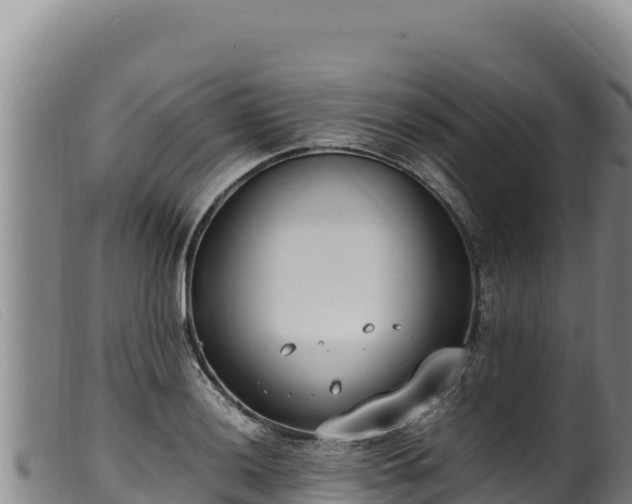 X0000099551036200805231146