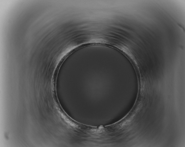 X0000099551037200805231146