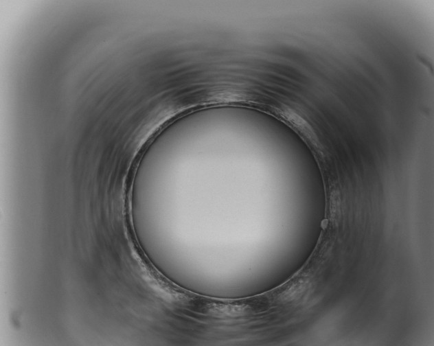 X0000099551039200805231146