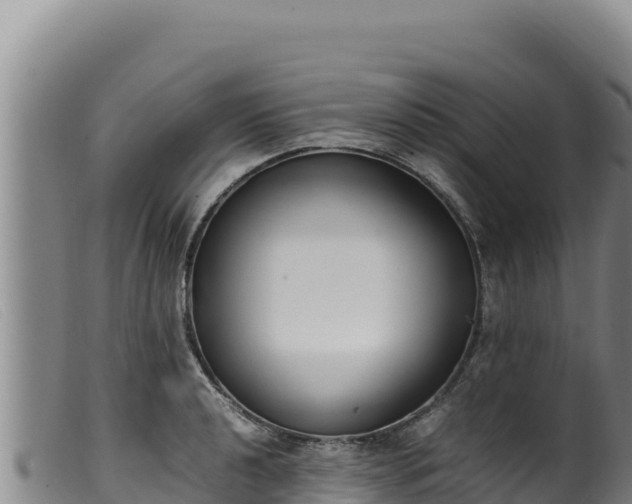 X0000099551040200805231146